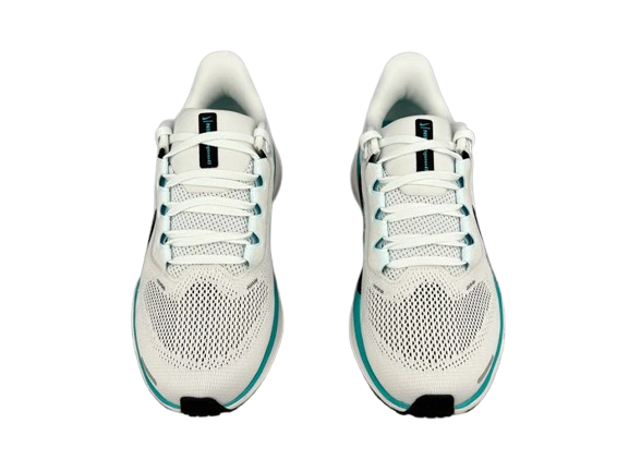Nike Air Zoom Pegasus 41 - Azul Collor