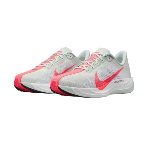 Nike Air Zoom Pegasus Plus - Cinza